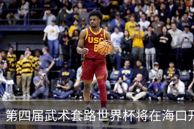 第四届武术套路世界杯将在海口开赛 30多个国家和地区人员参赛