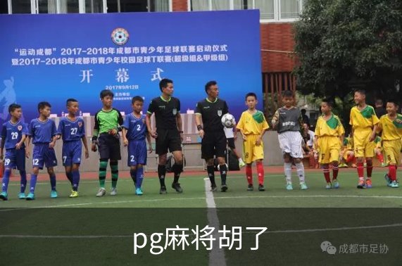 pg麻将胡了介绍